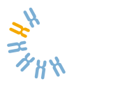Amadix